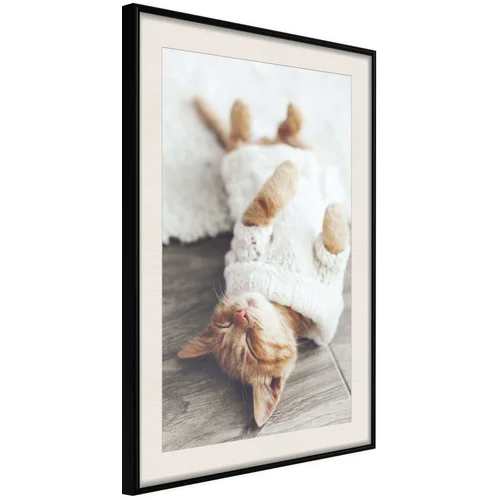  Poster - Kitten Life 40x60