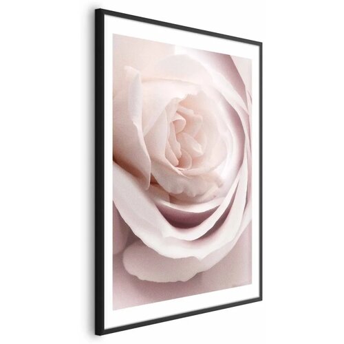  Plakat Porcelain Rose 21x30 Crni okvir s margom Cene
