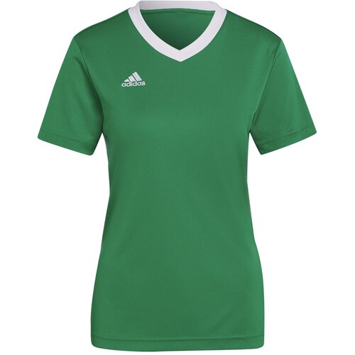 Adidas Dres 'Entrada 22' zelena / bela Cene