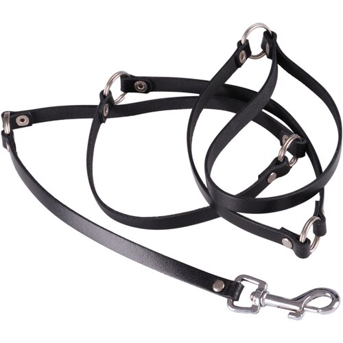 Dominate Me Leather Leash 120cm Cijene