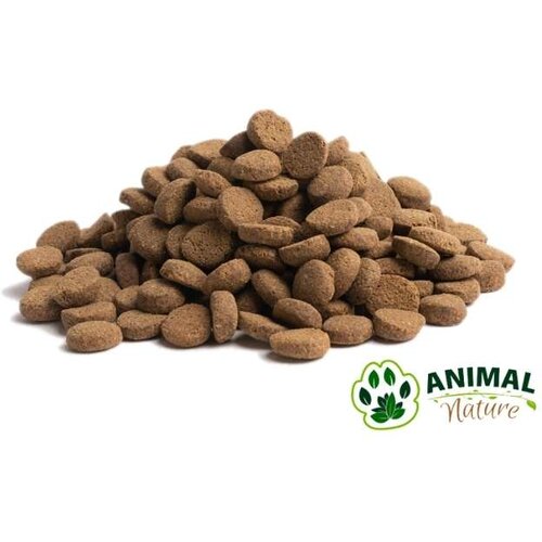 Essential Older Adult Medium 12,5 kg Cene