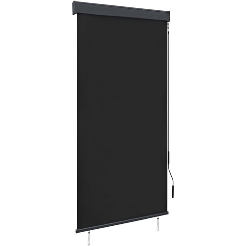 vidaXL Zunanje rolo senčilo 80x250 cm antracitno Cene