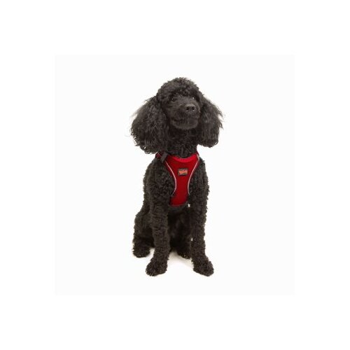 Paws &amp;amp; Whiskers Am za pse Air-Mesh, crvene Slike