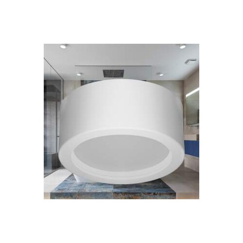 Braytron LED LAMPA OKRUGLA 18W 4000K BP13-31810 Slike