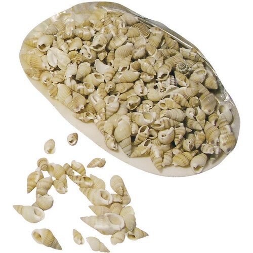 RAYHER Školjke 150g, (22005828) Cene