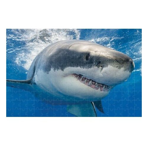  Puzzle 3d 200 pcs sharks 46x31cm 37590 ( 114/37590 ) Slike