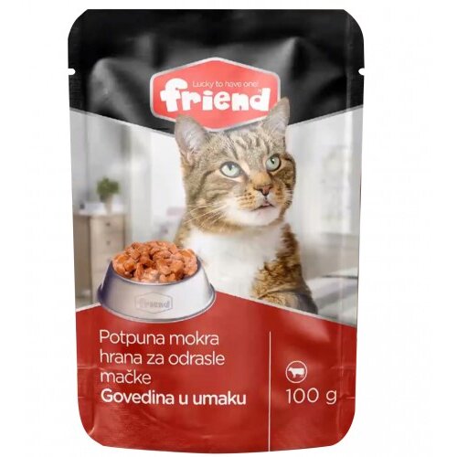 Friend Hrana za mačke sa govedinom u umaku 100g 102740 Cene