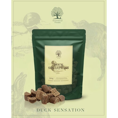 Essential Foods Essential poslastica za pse Duck 200g Cene