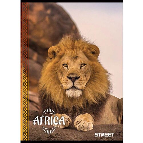 STREET Zvezek A4 Africa, mali karo, 80 listov, sortirano, 1 kos Slike
