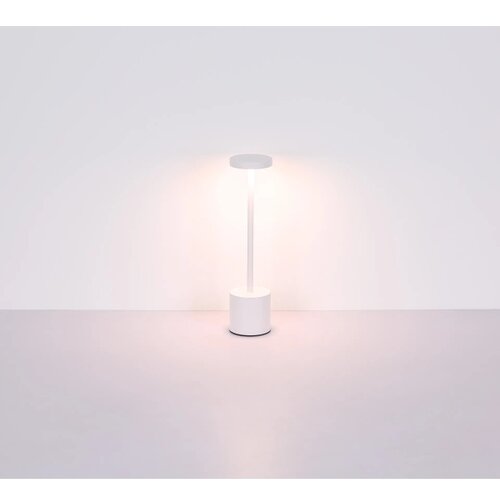 Globo 21019W - LED prigu&amp;scaron;iva stona lampa POLINA LED/1,2W/3,7V Slike