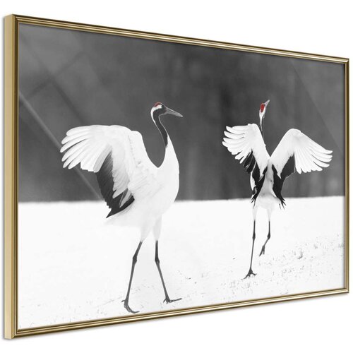  Poster - Bird Date 60x40 Slike
