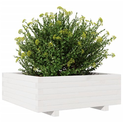  Vrtna sadilica bijela 70 x 70 x 26,5 cm od masivne borovine Slike