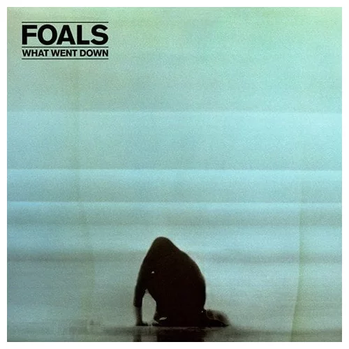 Foals - What Went Down (LP)