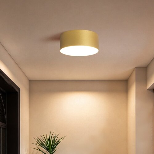 Brilagi LED Kupatilsko stropno svetlo FORIS LED/20W/230V prečnik 15 cm zlatna IP44 Slike