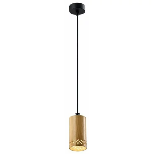 Candellux Lighting Viseča svetilka s kovinskim senčnikom v črni in zlati barvi ø 7 cm Tubo - Candellux Lighting
