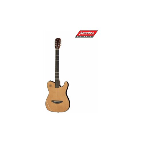  GITARA EL.-AK. EW3000CN James Neligan Cene