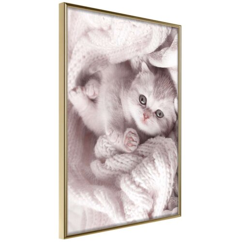  Poster - Tangled in Sweater 20x30 Slike