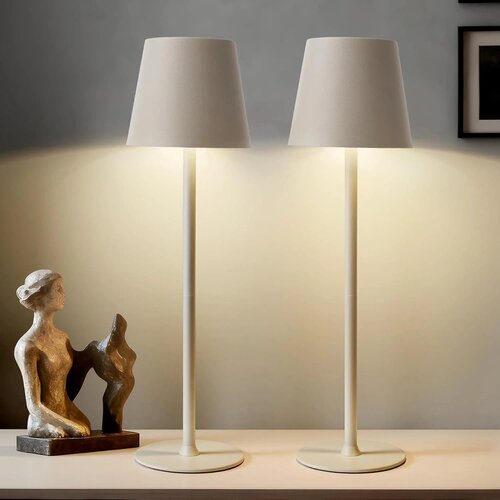 BONSERY 2x brezžična LED namizna svetilka Slike