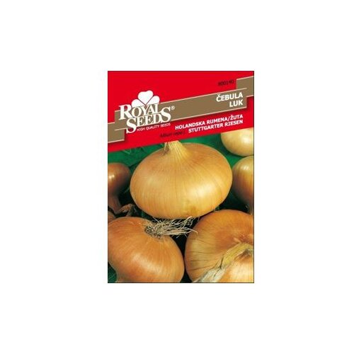 LUK Holandski žuti Royal Seeds Cijene