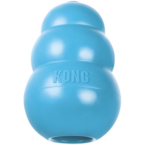  Puppy KONG - XS, modra Cene