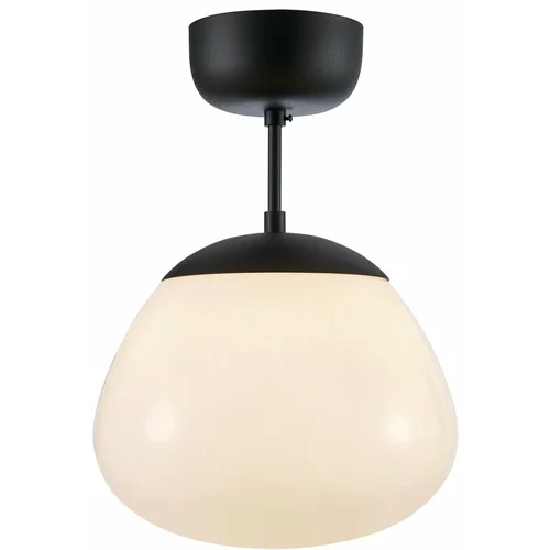 Markslöjd Črno-bela stropna svetilka s steklenim senčnikom ø 25 cm Rise - Markslöjd