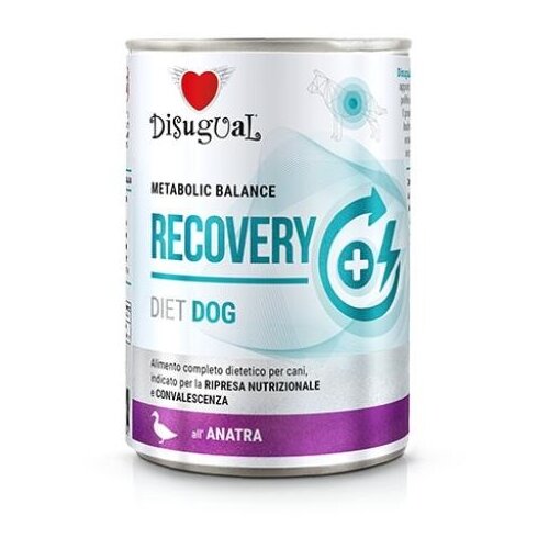 Disugual Disigual veterinarska dijeta za pse konzerva Recovery - Duck 400g Cene