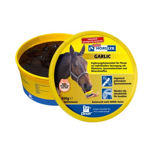 DERBY Horslyx Garlic - 650 g Cene