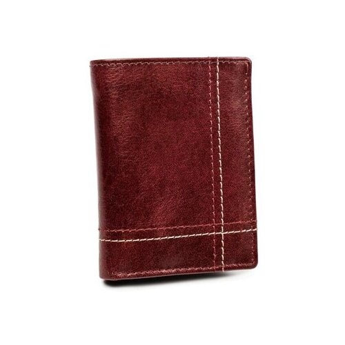 Always Wild Denarnice N9001VTKDWINE Bordo Cene