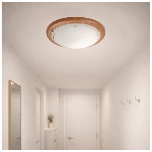 Brilagi plafonsko svetlo orbis 2xE27/60W/230V ø 38 cm borovina Cene