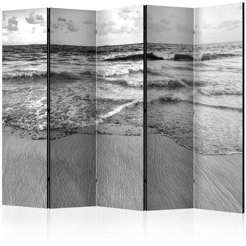  Paravan u 5 dijelova - Subtle Afternoon II [Room Dividers] 225x172 Cene
