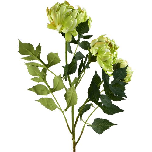 Mondex Umetna veja plastika Viridis Chryzantema 70cm zelena 3kos, (5000329541) Cene