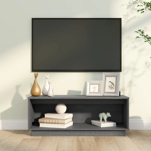 vidaXL TV ormarić sivi 90 x 35 x 35 cm od masivne borovine Cijene