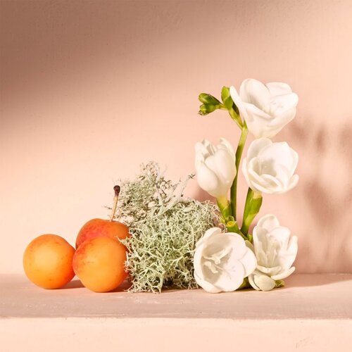 Chloé Nomade parfumska voda 50 ml za ženske Cene