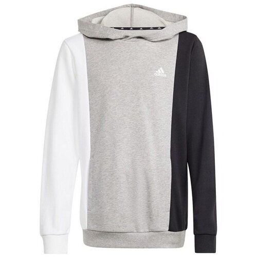 Adidas Cb Ft Hd Jr sarena Slike