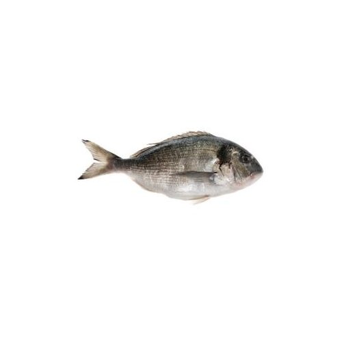  Orada 1kg Cene