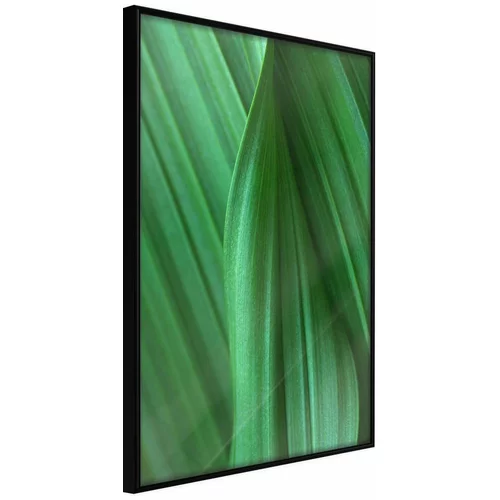  Poster - Leaf Structure 20x30