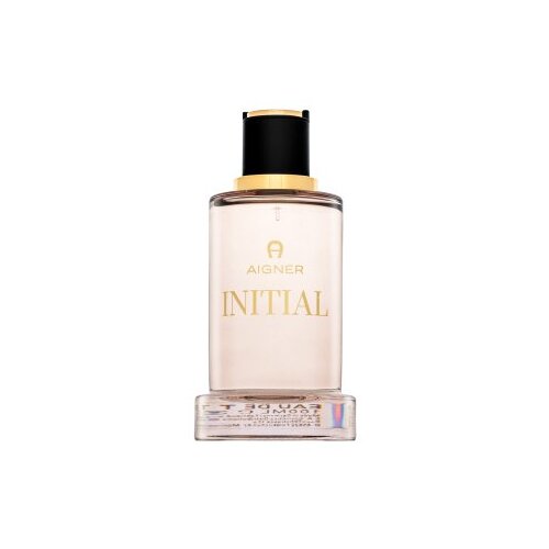 Aigner Initial Toaletna voda za mo&amp;scaron;ke 100 ml Slike