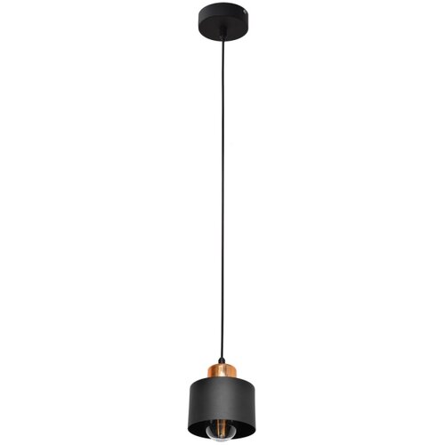  Luster na sajli EDISON 1xE27/15W/230V Slike