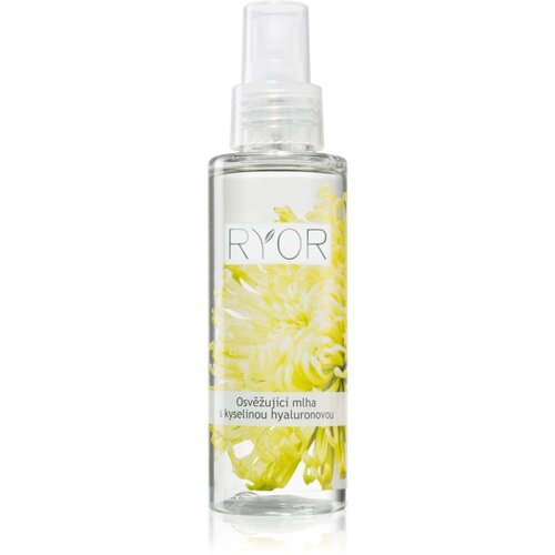 RYOR Face & Body Care osvežilna meglica s hialuronsko kislino 100 ml Cene