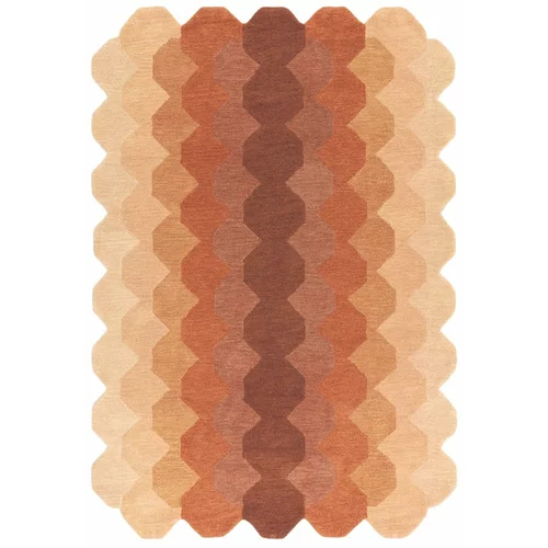 Asiatic Carpets Opečnato oranžna volnena preproga 160x230 cm Hive –