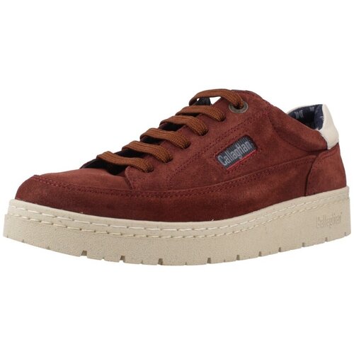 CallagHan Modne superge 55815C Bordo Cene