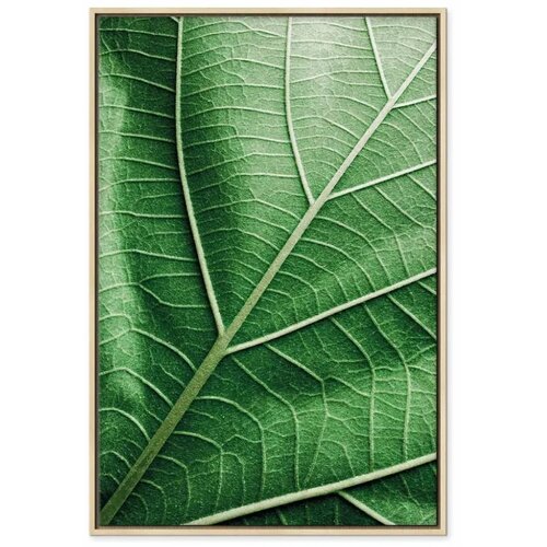  Slika - Malachite Leaf (1 Part) Vertical 80x120 Slike