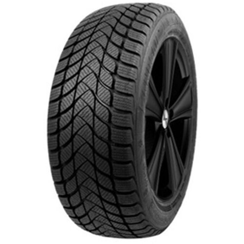 Landsail 225/55R17 97H WINTER LANDER Cene