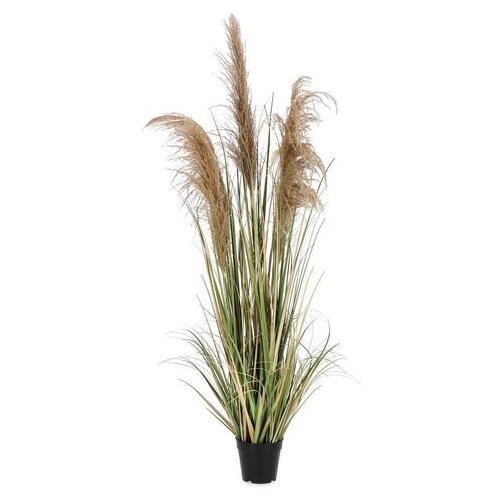  PAMPAS 145CM U SAKSIJI PVC BIZZOTTO Cijene