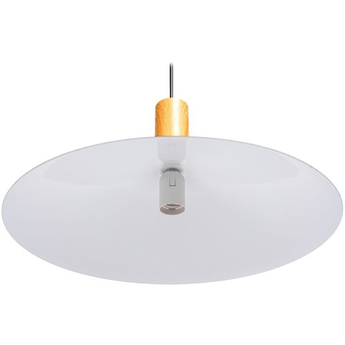 Toolight stropna visilica APP1084-1CP Slike