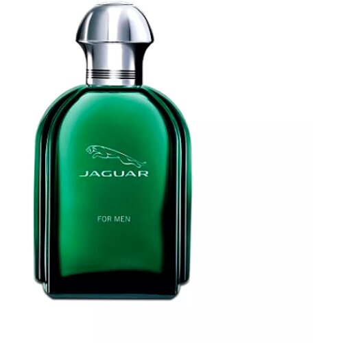 Jaguar For Men Edt 100ml Slike