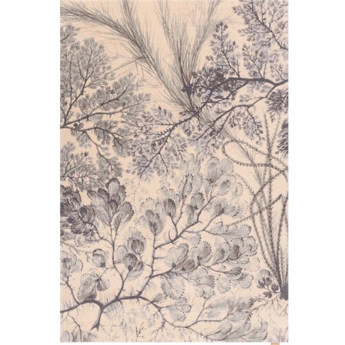 Agnella Mentol zeleni/bež vuneni tepih 133x190 cm V&A Calisia Kelp &ndash; Cijene