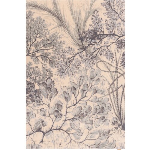 Agnella Mentolno zelena/bež volnena preproga 133x190 cm V&A Calisia Kelp &ndash; Cene
