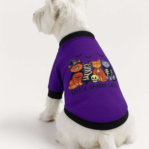 Paws &amp; Whiskers Purplespookycat Ljubičasti Dukserica za Pse Cene