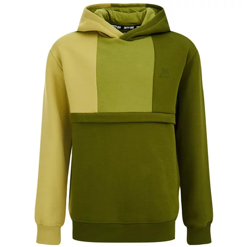 WE Fashion Sweater majica zelena